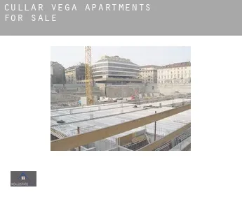 Cúllar-Vega  apartments for sale