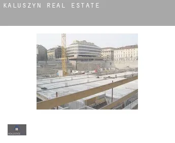 Kałuszyn  real estate
