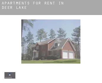 Apartments for rent in  Deer Lake