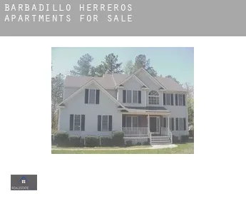 Barbadillo de Herreros  apartments for sale