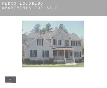 Pedro Escobedo  apartments for sale
