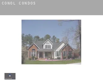 Conol  condos