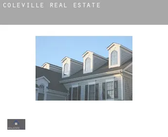 Coleville  real estate