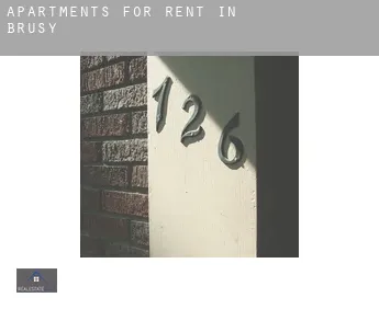 Apartments for rent in  Brusy