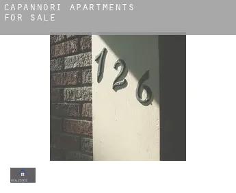 Capannori  apartments for sale