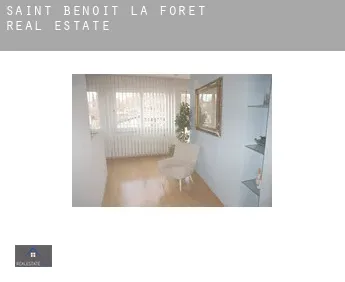Saint-Benoît-la-Forêt  real estate