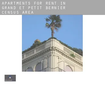 Apartments for rent in  Grand-et-Petit-Bernier (census area)